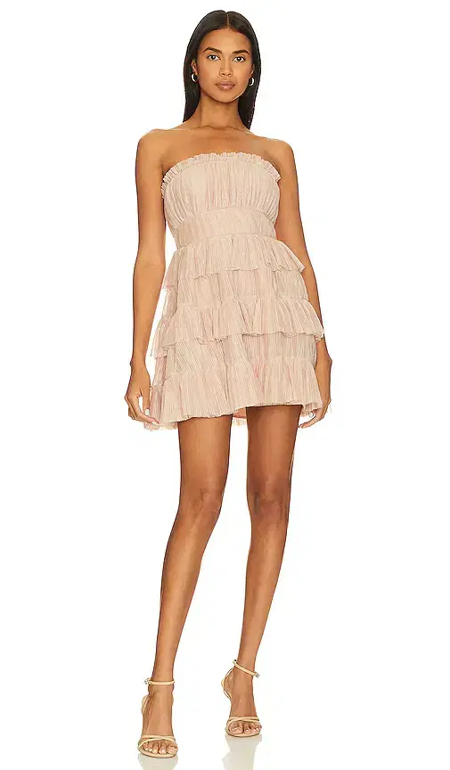 Lovers and Friends Barlow Mini Dress