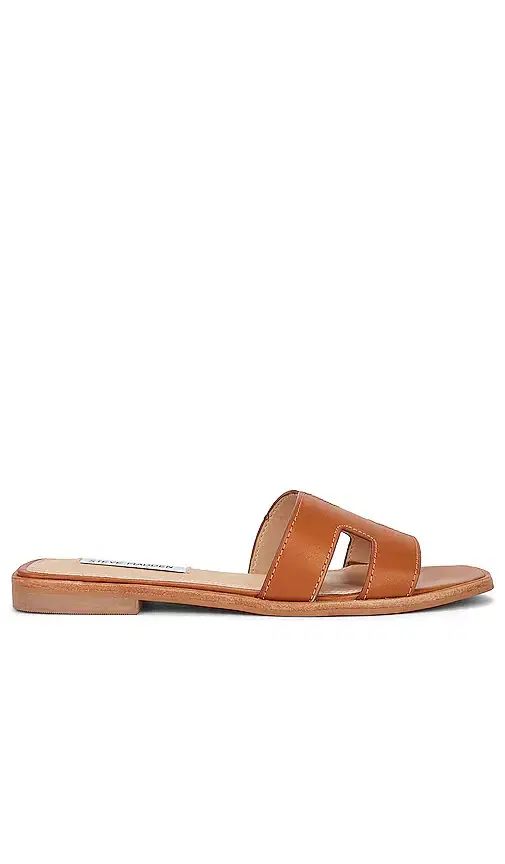 Steve Madden Hadyn Slide