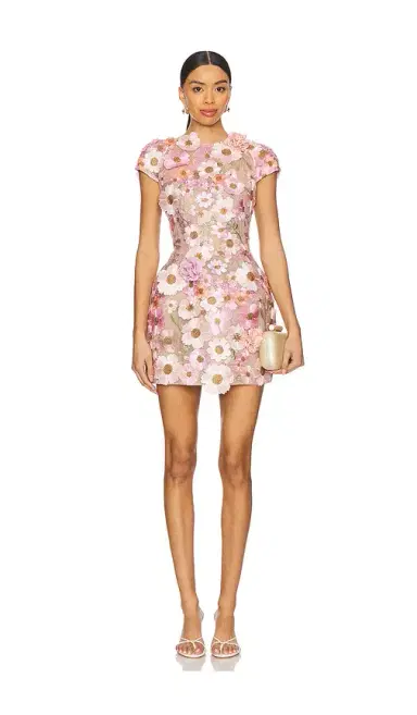 Bronx and Banco Jasmine Mini Dress | Thumbnail 1