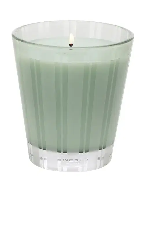 NEST New York Wild Mint & Eucalyptus Classic Candle