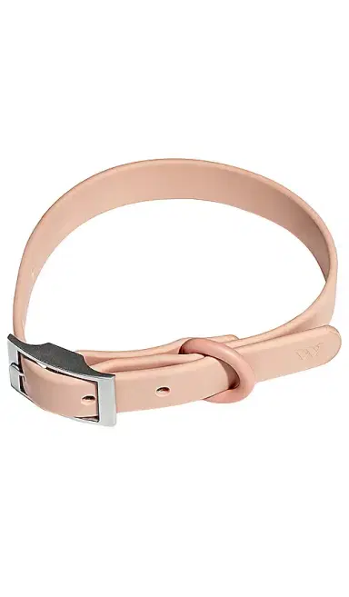 Wild One Collar | Thumbnail 1 Wild One Collar | Thumbnail 1