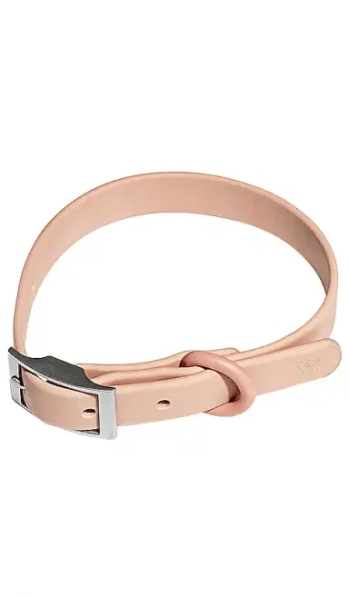 Wild One Collar | Thumbnail 1 Wild One Collar | Thumbnail 1