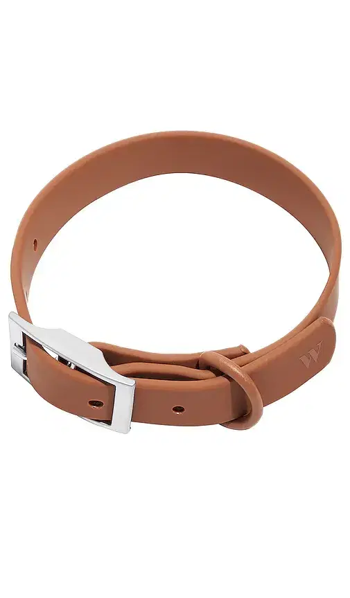 Wild One Medium Collar
