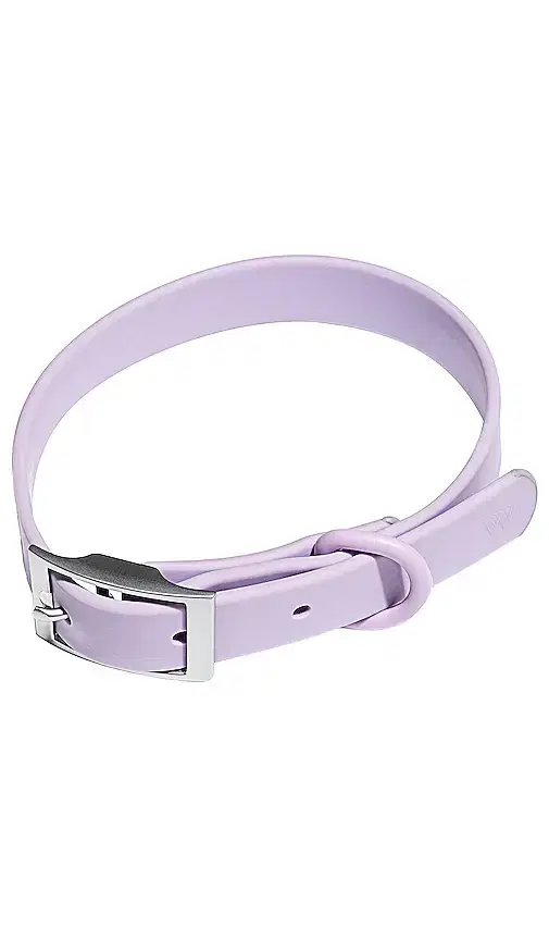 Extra Small Collar