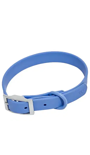 Wild One Small Collar | Thumbnail 1