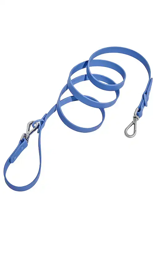 Leash