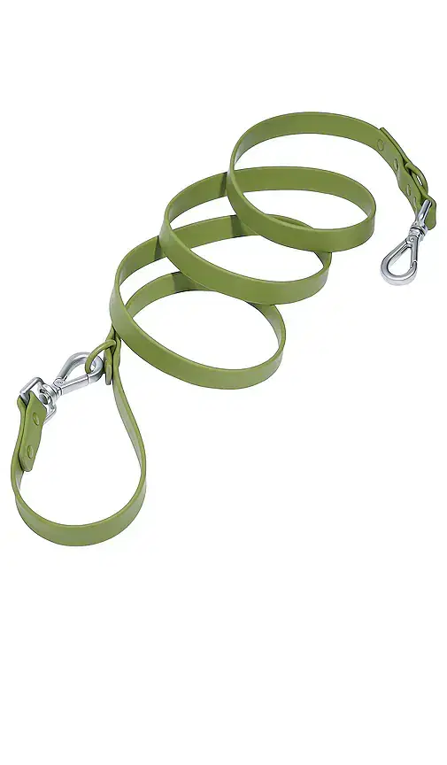 Leash