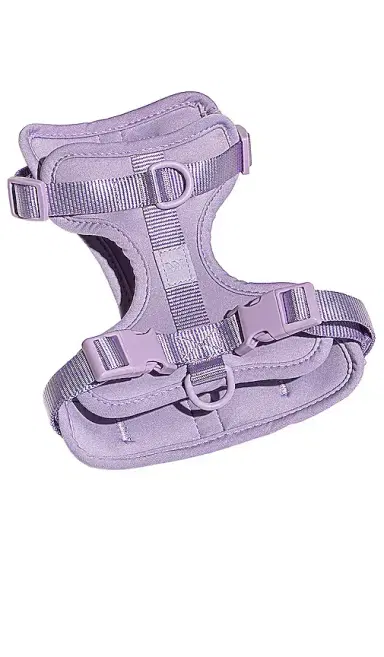 Wild One Harness | Thumbnail 1 Wild One Harness | Thumbnail 1