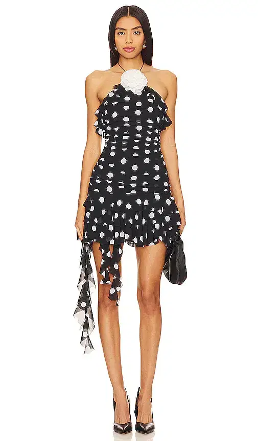 Brandi Mini Dress