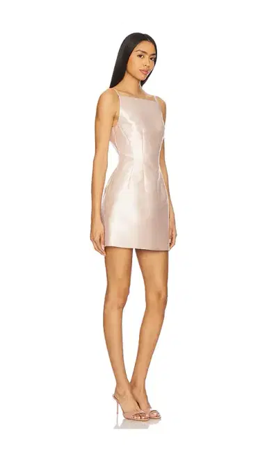 Courtney Zheng Blanche Dupion Mini Dress | Thumbnail 2