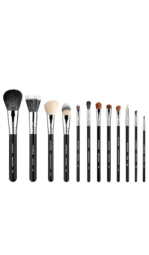 Sigma Beauty Essential Brush Set