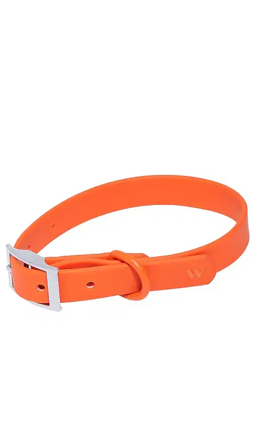 Wild One x REVOLVE Collar