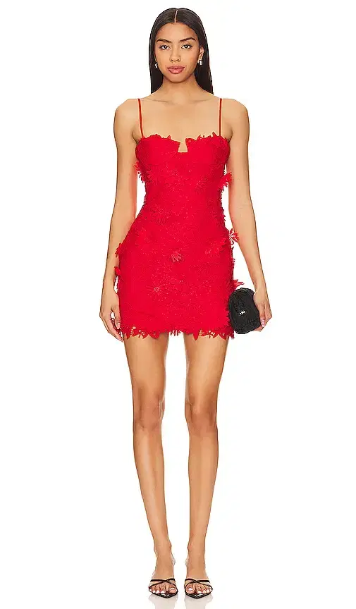 Bardot Brias Mini Dress