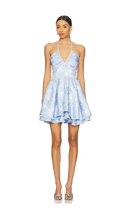 V. Chapman Savannah Mini Dress