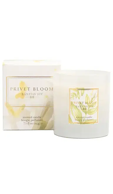 Hampton Sun Privet Bloom Candle | Thumbnail 2