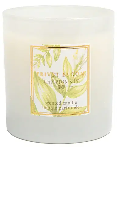 Hampton Sun Privet Bloom Candle | Thumbnail 1