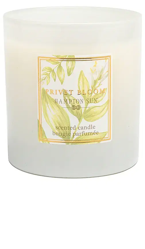 Hampton Sun Privet Bloom Candle