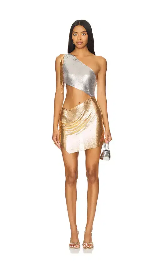 Nikita Mini Dress