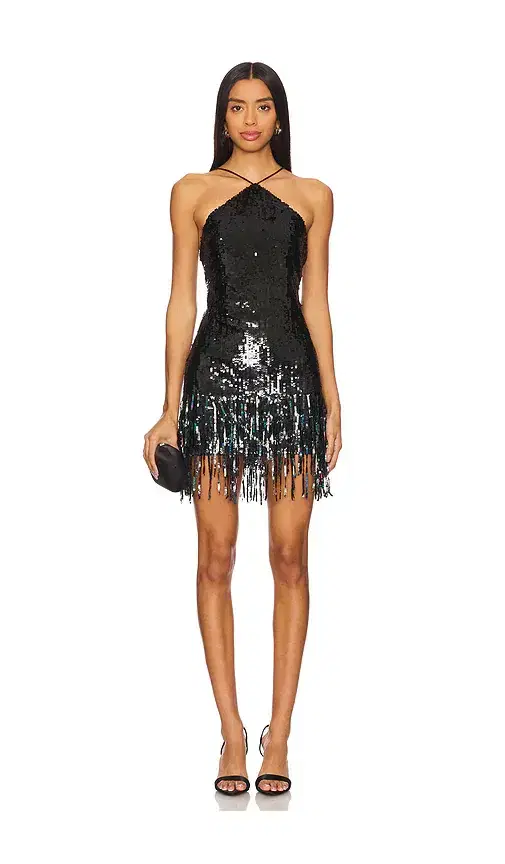 Massima Sequin Fringe Mini Dress