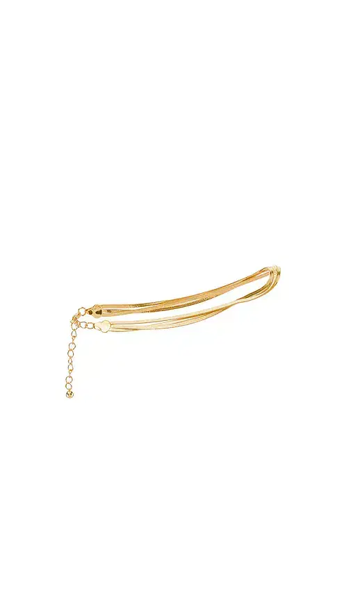 8 Other Reasons Lila Anklet