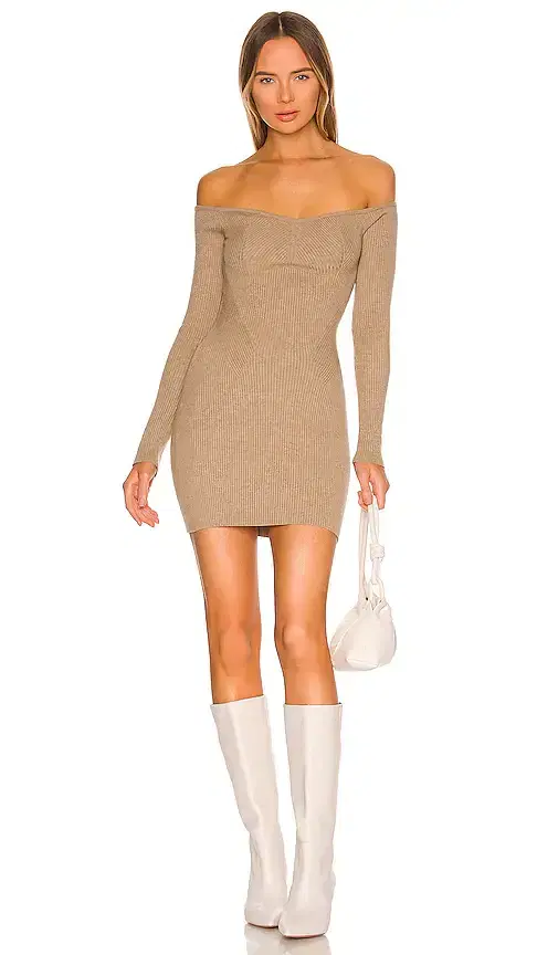 Zacari Bodycon Mini Dress