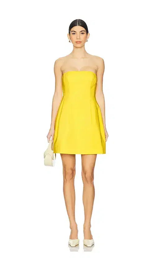 SIMKHAI Arta Bustier Mini Dress