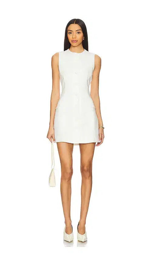 Jane Mini Dress