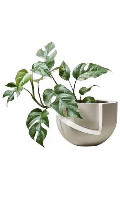 Light + Ladder Light + Ladder Vayu Planter | Thumbnail 2 Light + Ladder Light + Ladder Vayu Planter | Thumbnail 2