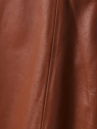 Gabriela Hearst Adaline Pleated Leather Midi Dress | Thumbnail 4