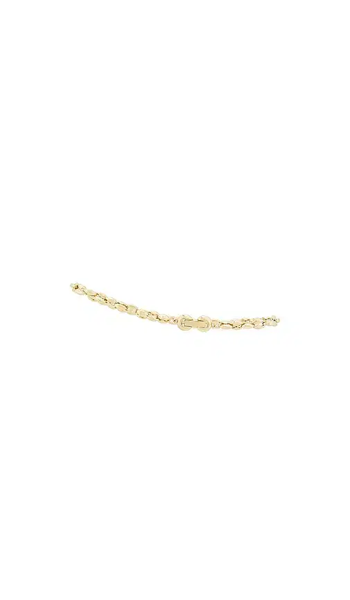 Dhani Anklet