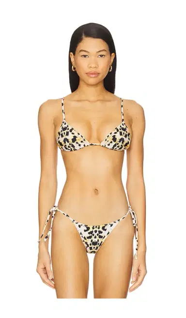 Tropic of C Equator Bikini Top | Thumbnail 1 Tropic of C Equator Bikini Top | Thumbnail 1
