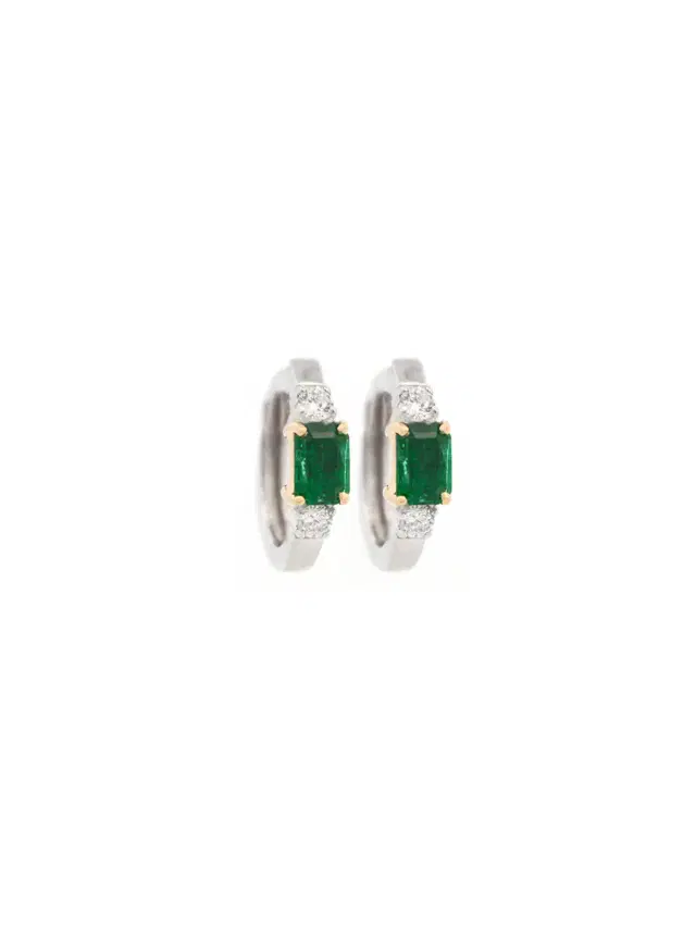 Wish Fine Jewelry Earrings   D:0.30/EM:1.10