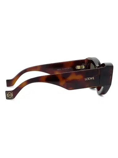 Loewe Women's x Paula's Ibiza Havana 62MM Cat-Eye Sunglasses | Thumbnail 7