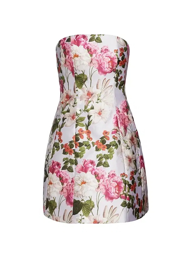 SACHIN BABI Women's Alanna Floral Minidress - Perwinkle And Petals