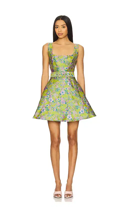Elliatt Zenobia Mini Dress