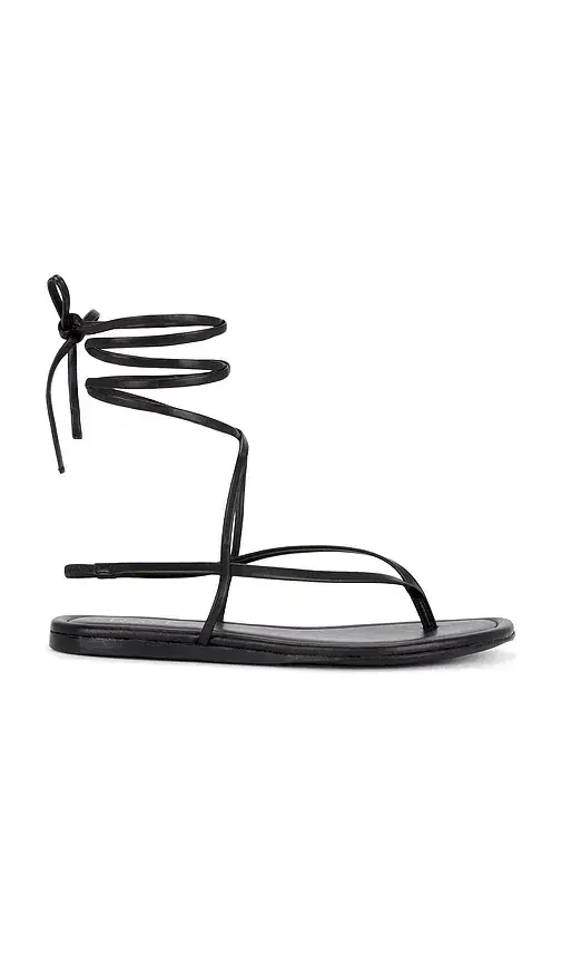 Aditi Sandal