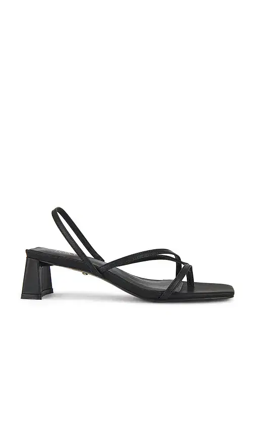Porter Sandal