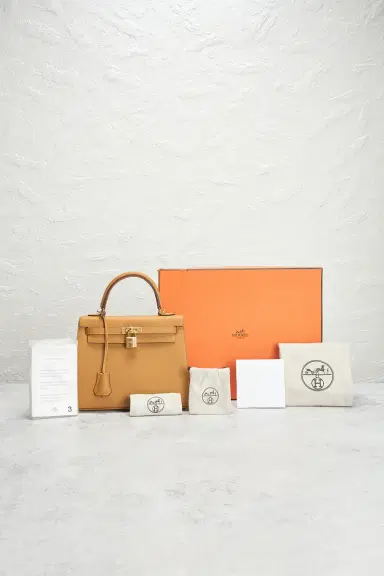 hermes Hermes Epsom Kelly 25 Handbag | Thumbnail 9