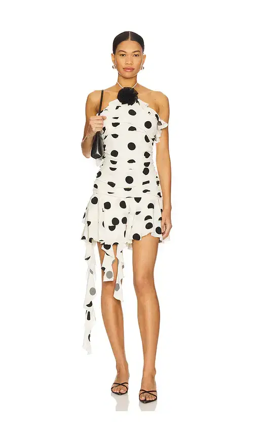Brandi Mini Dress