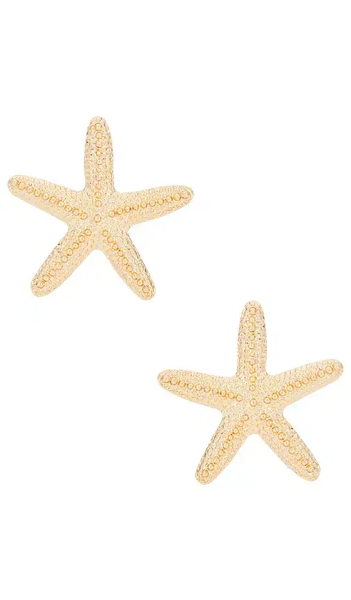 8 Other Reasons Aqua Starfish Stud Earrings