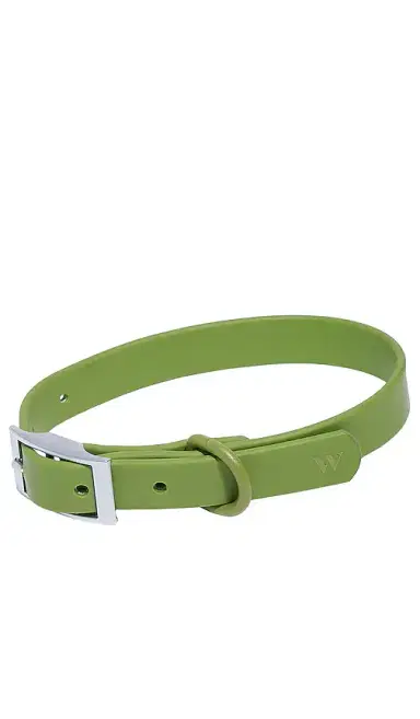 Wild One Collar | Thumbnail 1 Wild One Collar | Thumbnail 1