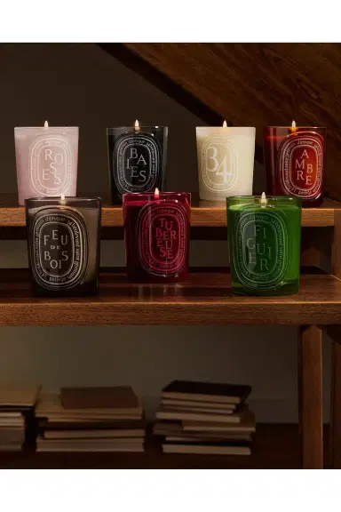 Diptyque Baies Medium Candle | Thumbnail 3