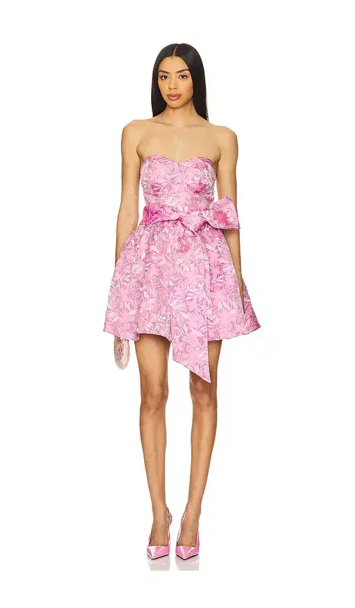 Elliatt Nadeen Aline Mini Dress