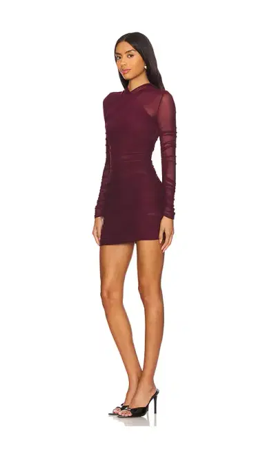 SEROYA Moxey Ruched Mesh Mini Dress | Thumbnail 2