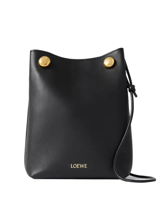 Pebble Embellished Leather Shoulder Bag