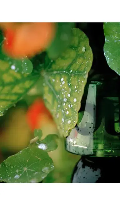 Vyrao I Am Verdant Eau De Parfum | Thumbnail 2