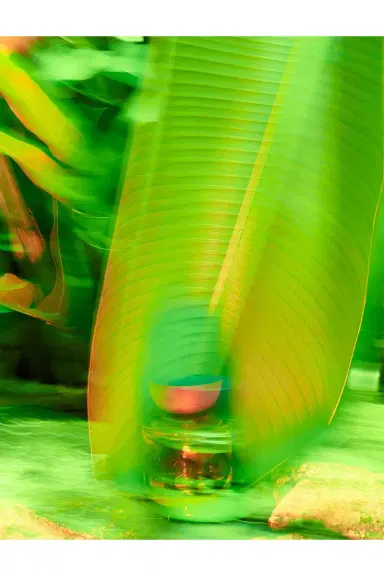 Vyrao I Am Verdant Eau De Parfum | Thumbnail 6