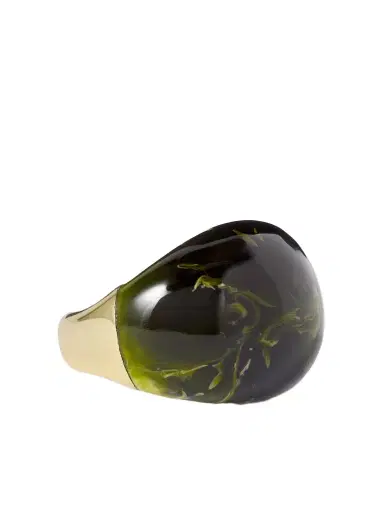 Dinosaur Designs Large Gold-tone And Resin Ring | Thumbnail 1