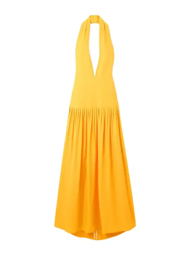 Tala Pleated Georgette Halterneck Maxi Dress