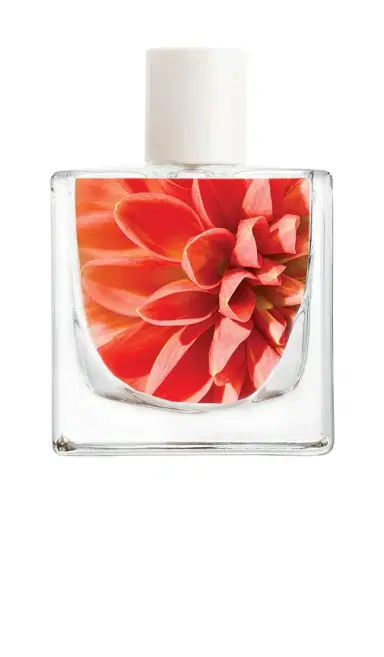Skylar Sunkissed Dahlia Eau De Parfum | Thumbnail 2 Skylar Sunkissed Dahlia Eau De Parfum | Thumbnail 2